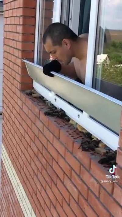 Cleaning the window