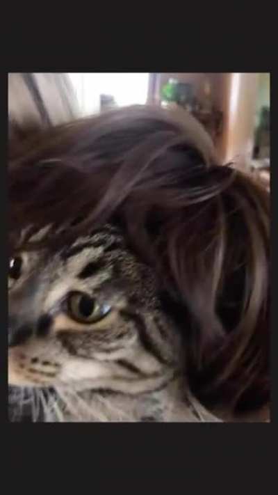 Morning hair