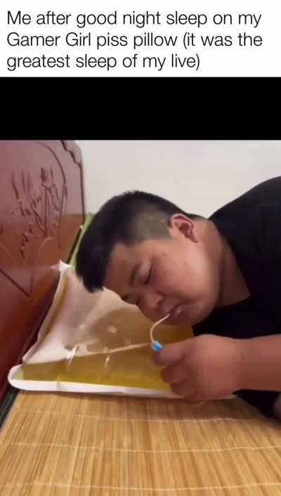 Loser city pillow