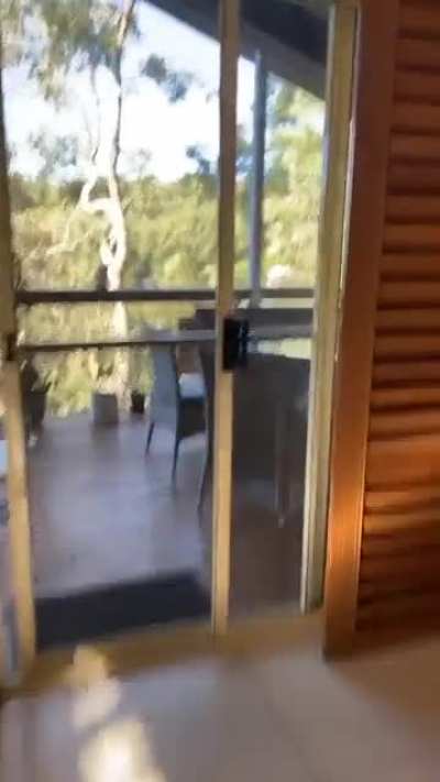Fuck your pasta.