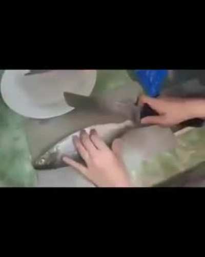 Clean Hit