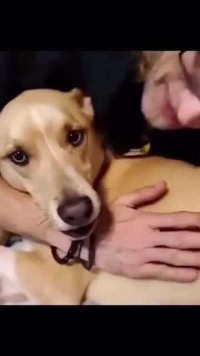 Pet Louie?