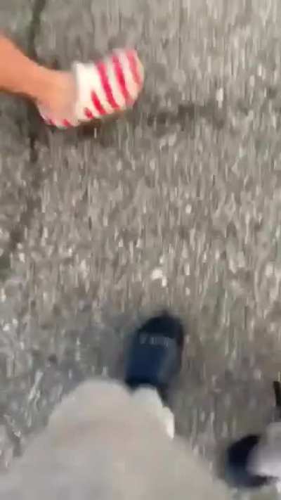 Kyle Rittenhouse getting jumped after him and his friends were jumping a girl