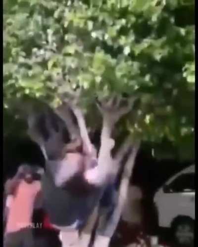 Este cabron se quería culiar el árbol