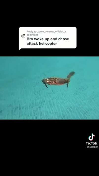 He's no fortunate crab...