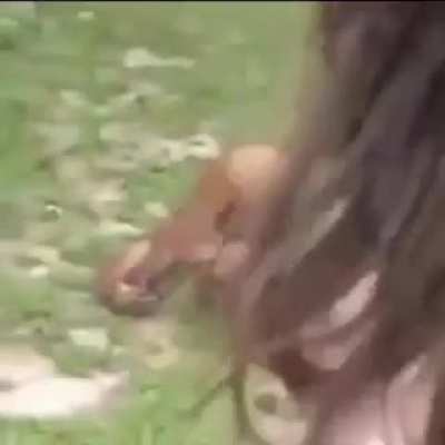 Monkey business