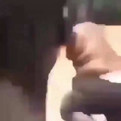 Bonk