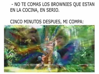 nunca me hacen caso...