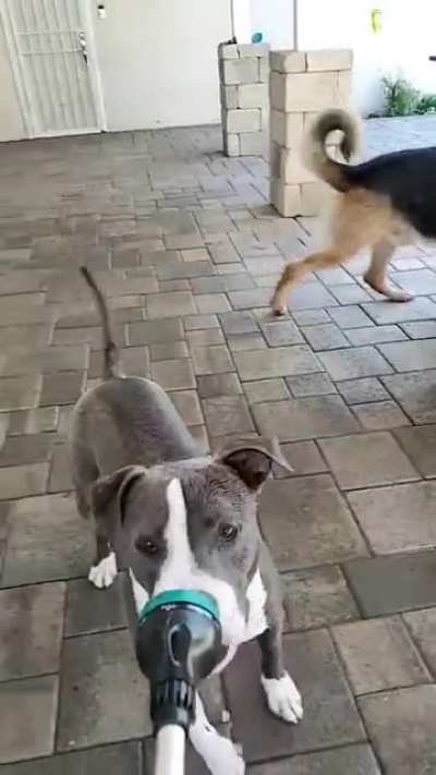 Refreshment Time