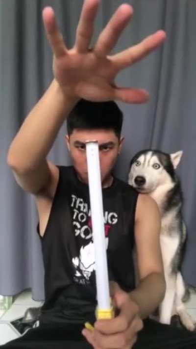 Bamboozled