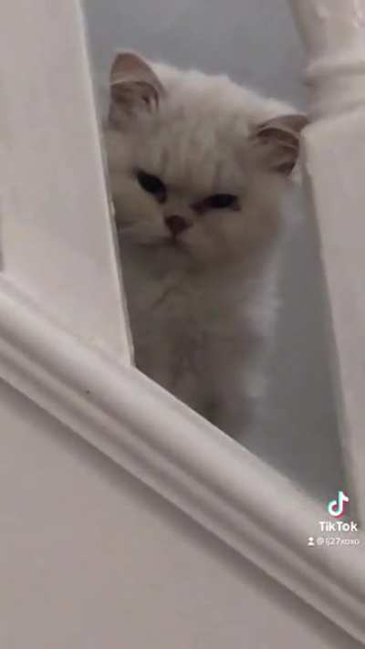 Ever get the feeling that you’re being watched!?