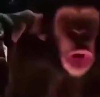 ITS DINNER TIME BOISSSSSS!!!!
