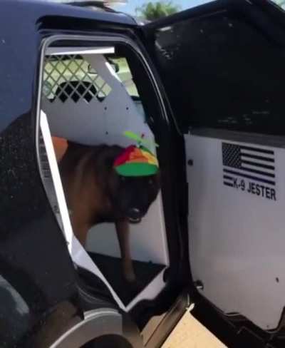 POLICE DOG STAY AWAY
