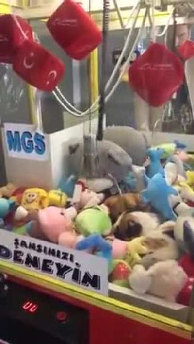 Multiple sets of claws in this claw machine