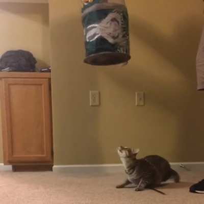 HMC while I jump through this tunnel