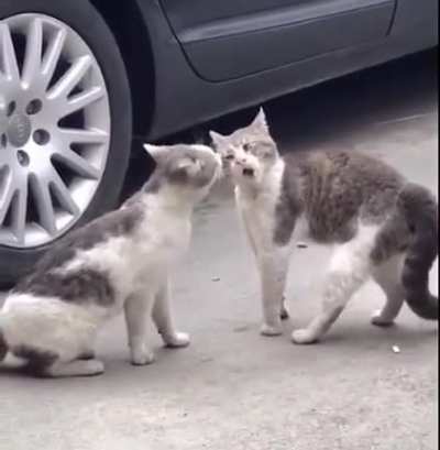 So,No fight just talk! LOL!
