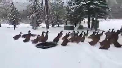 Ну нахер!
