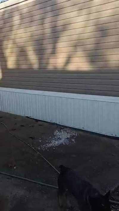 more ice ft. my brother