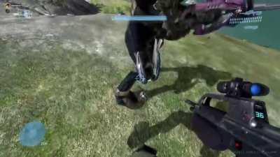 (PC) Halo 3 has some good hitboxes