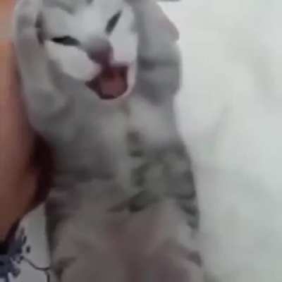 criminal got arrested for being too smol
