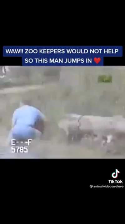 Chimpanzees can't swim