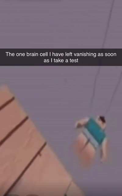 Brain