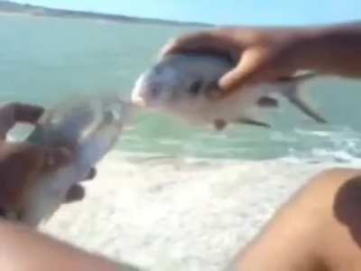 cute couple of fish🥰
