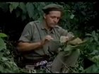Man stops gorilla attack using only his balls