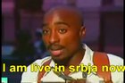 fuck macedonia fuck bosnia shqipere fuck you croatia, slovakass..RONALDO.. SOCER