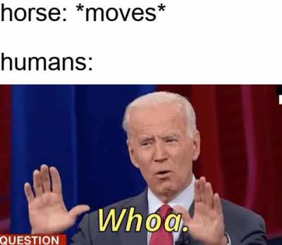 *annoyed horse noises*