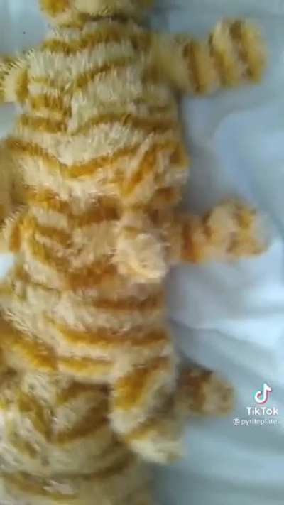 i can’t help it, i’m a slave to my passions (@pyriteplates on tiktok)