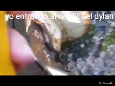 Esta bien 