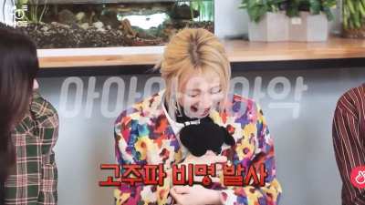 :ChaeyoungShout: