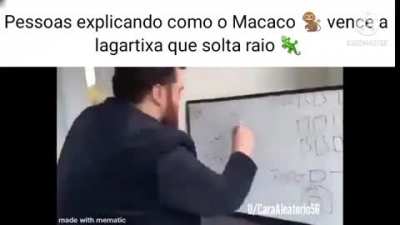 🐒🦎👊