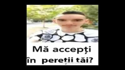 o mema furata