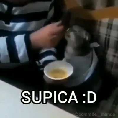 supica :D