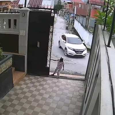 Gate.exe crashed