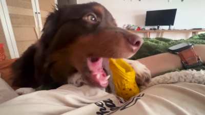 The first thing I see when I open my eyes in the morning