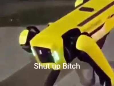 Ulan
