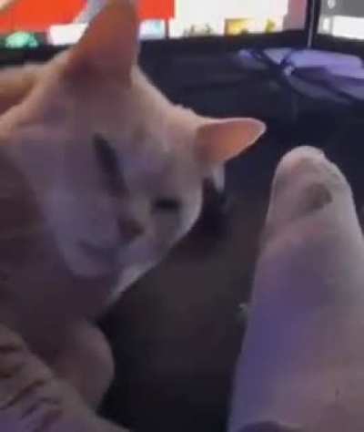 Belly Rubs