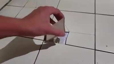 Best hiding spot...