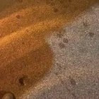 Some instant karma in Miami