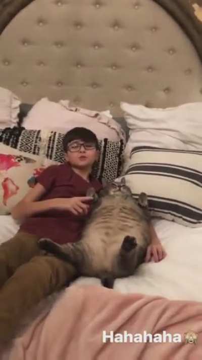 (ﾟωﾟ)