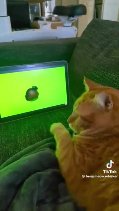 Ipad wunk