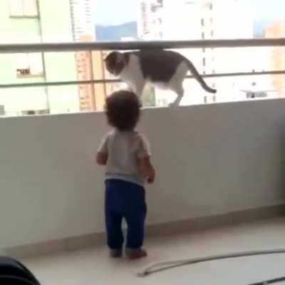 That's a Smart cat