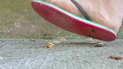 Favorite 'crush two snails' of 2024