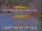 They can’t tell me what to do anymore, I won’t do it, I won’t