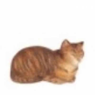Gato pan