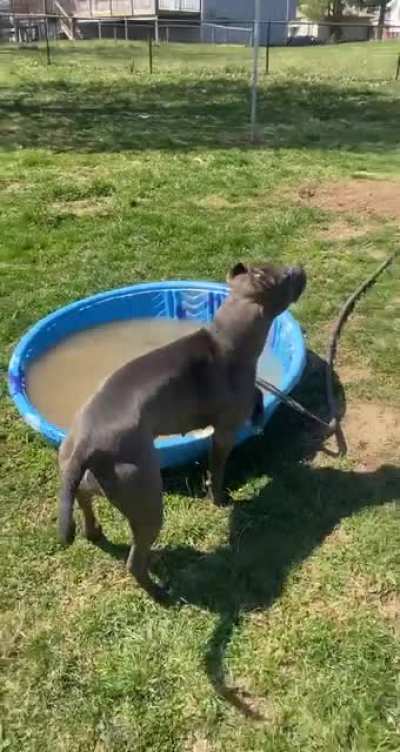 Wait for it...