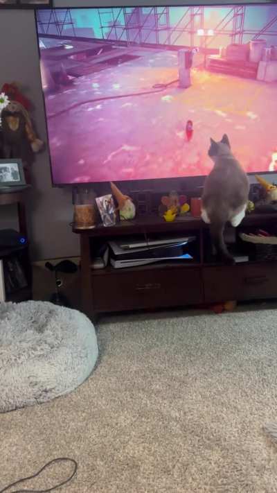Jasper is a fan.